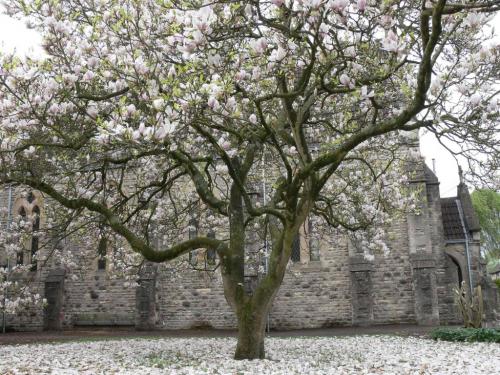 1-St-Peters-Church-001