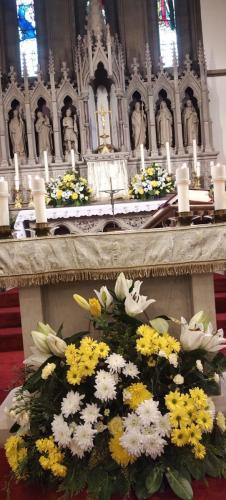 PHOTO-2024-04-02-17-49-31 (2)