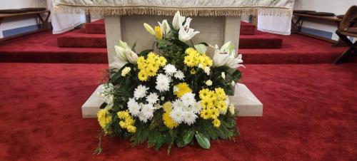 PHOTO-2024-04-02-17-49-32 (3)