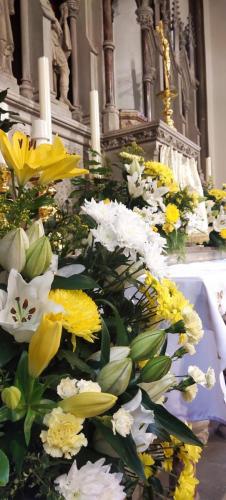 PHOTO-2024-04-02-17-49-32