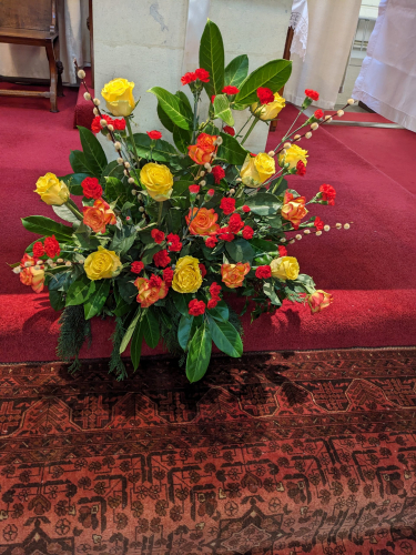 PXL_20241223_115629788