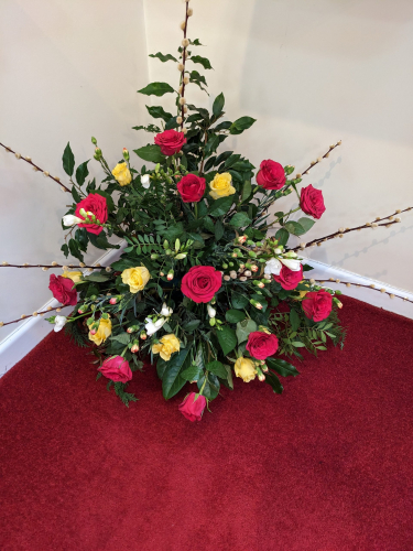 PXL_20241223_115643093