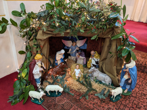 PXL_20241223_115657223