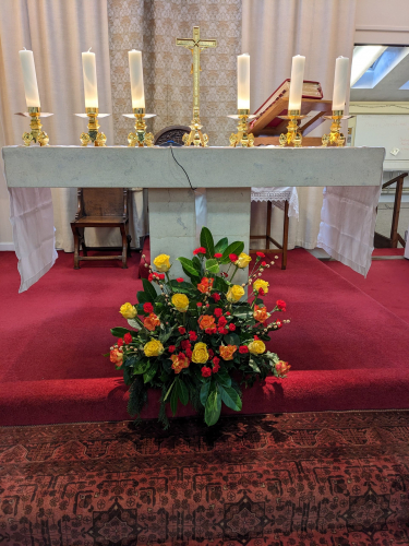 PXL_20241223_115913447